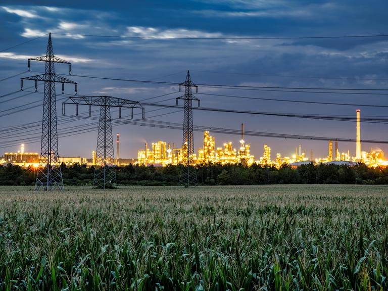 Blick auf das Industriegebiet in Leuna. Davor sind Felder. Der Industriekomplex ist beleuchtet und hebt sich von der dunklen Umgebung ab.