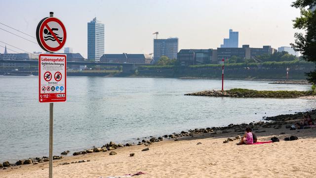 Ein Schild weist auf das Badeverbot im Rhein in Düsseldorf hin. Am Rhein-Ufer sitzen zwei Menschen auf einer Decke. Im Hintergrund ist die Stadt Düsseldorf zu sehen.
