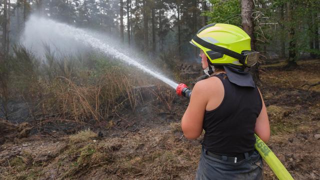 Eine Feuerwehrfrau löscht eine verbrannte Wald-Fläche.