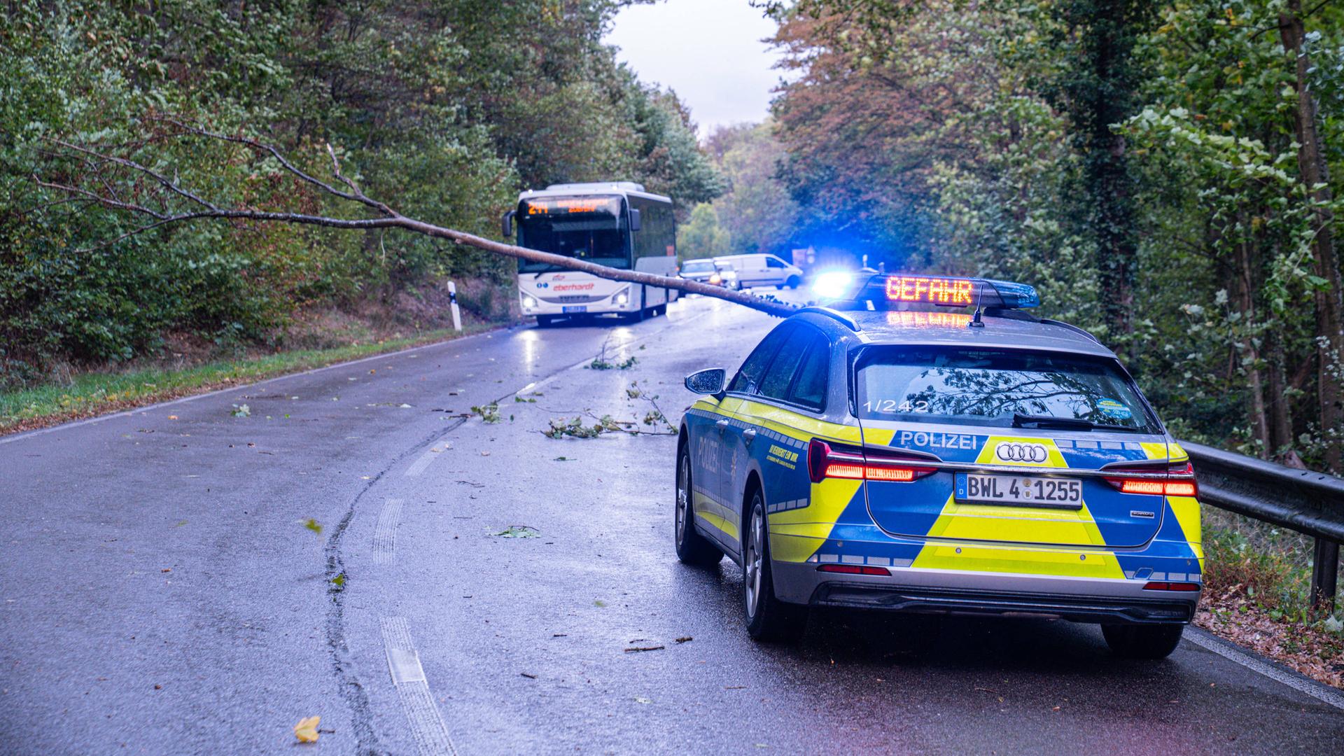 Das Bild zeigt eine Szene von einer Straße. Ein Baum liegt quer über der Straße. Ein Bus und viele Autos müssen halten. Im Vordergrund ist ein Einsatzwagen der Polizei zu sehen.