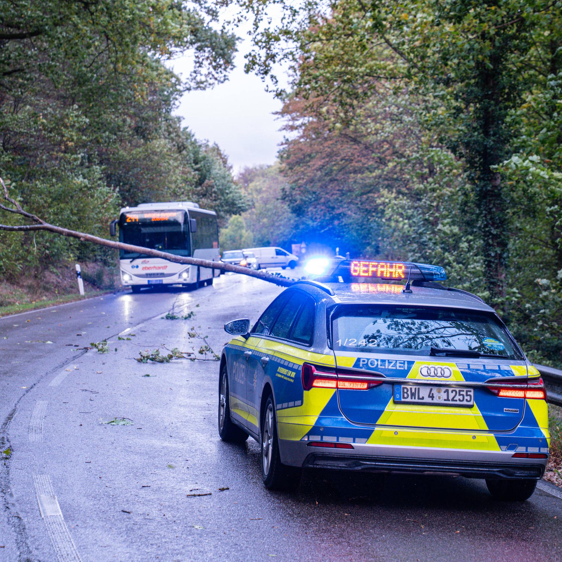 Das Bild zeigt eine Szene von einer Straße. Ein Baum liegt quer über der Straße. Ein Bus und viele Autos müssen halten. Im Vordergrund ist ein Einsatzwagen der Polizei zu sehen.