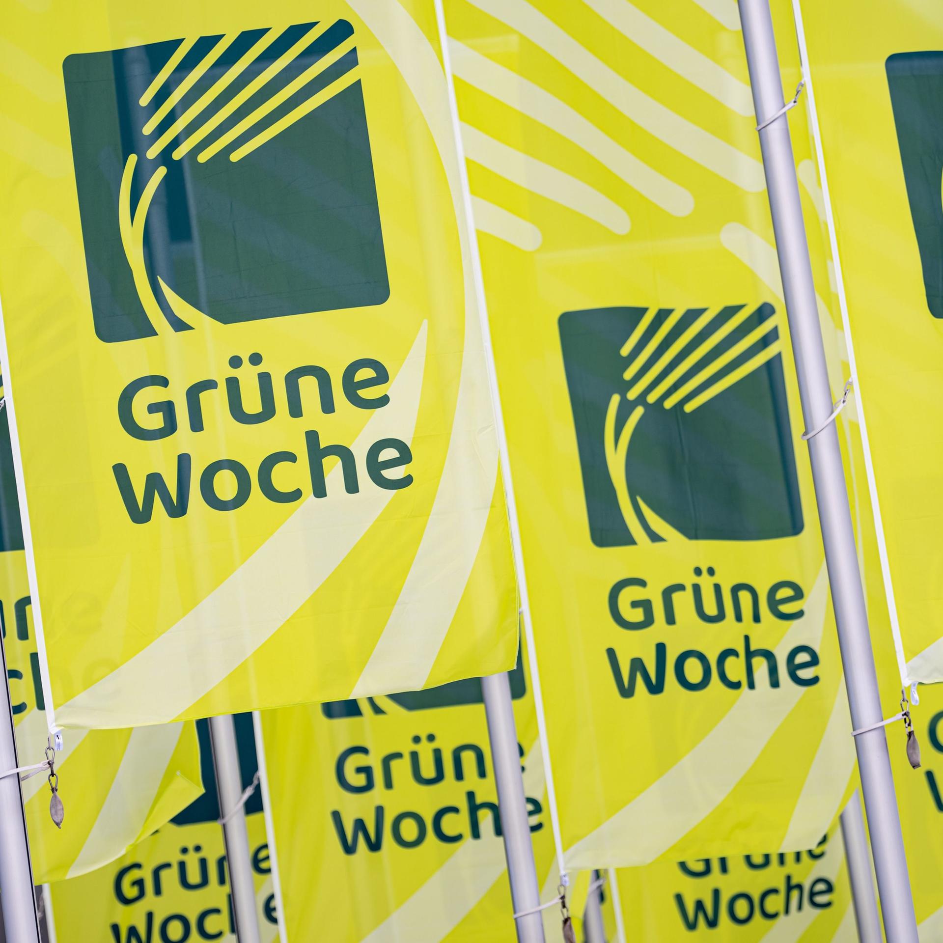 Start der Agrarmesse - Grüne Woche: Bauernverband informiert über Situation der Branche