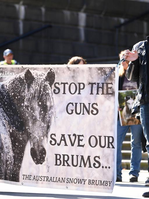 Protest in Melbourne gegen die Pläne, verwilderte Pferde - so genannte Brumbies - zu töten, weil sie die natürlichen Arten in Australien bedrohen.
