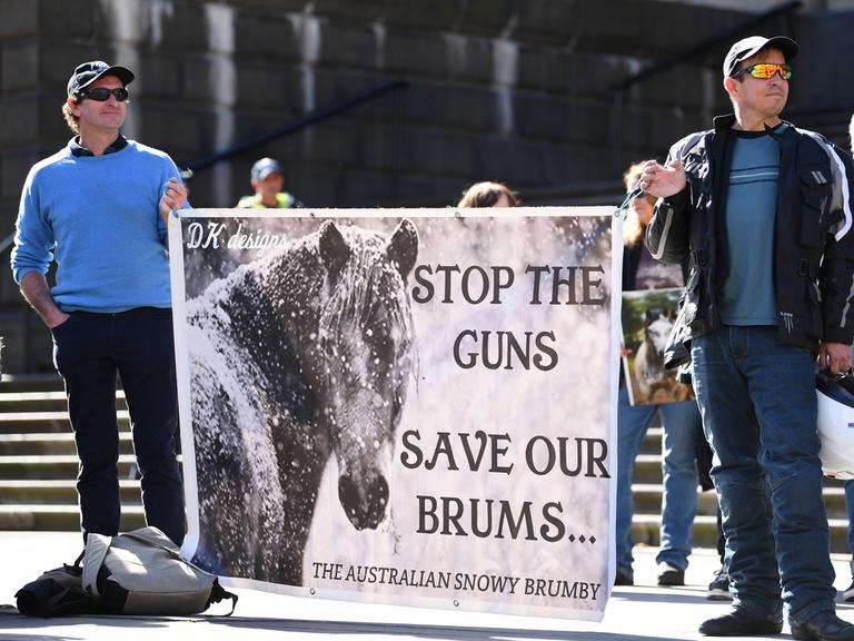 Protest in Melbourne gegen die Pläne, verwilderte Pferde - so genannte Brumbies - zu töten, weil sie die natürlichen Arten in Australien bedrohen.