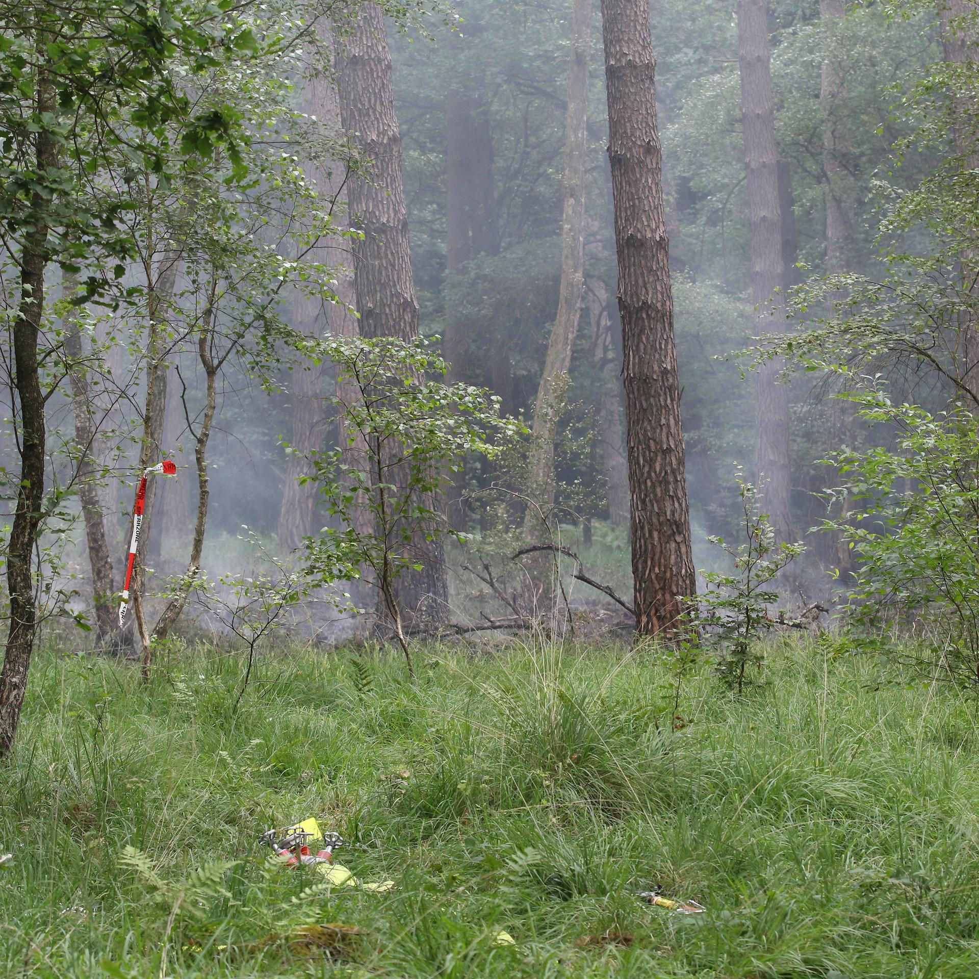 Nordrhein-Westfalen, Rösrath: Rauchschwaden ziehen durch die Bäume in der Wahner Heide. 