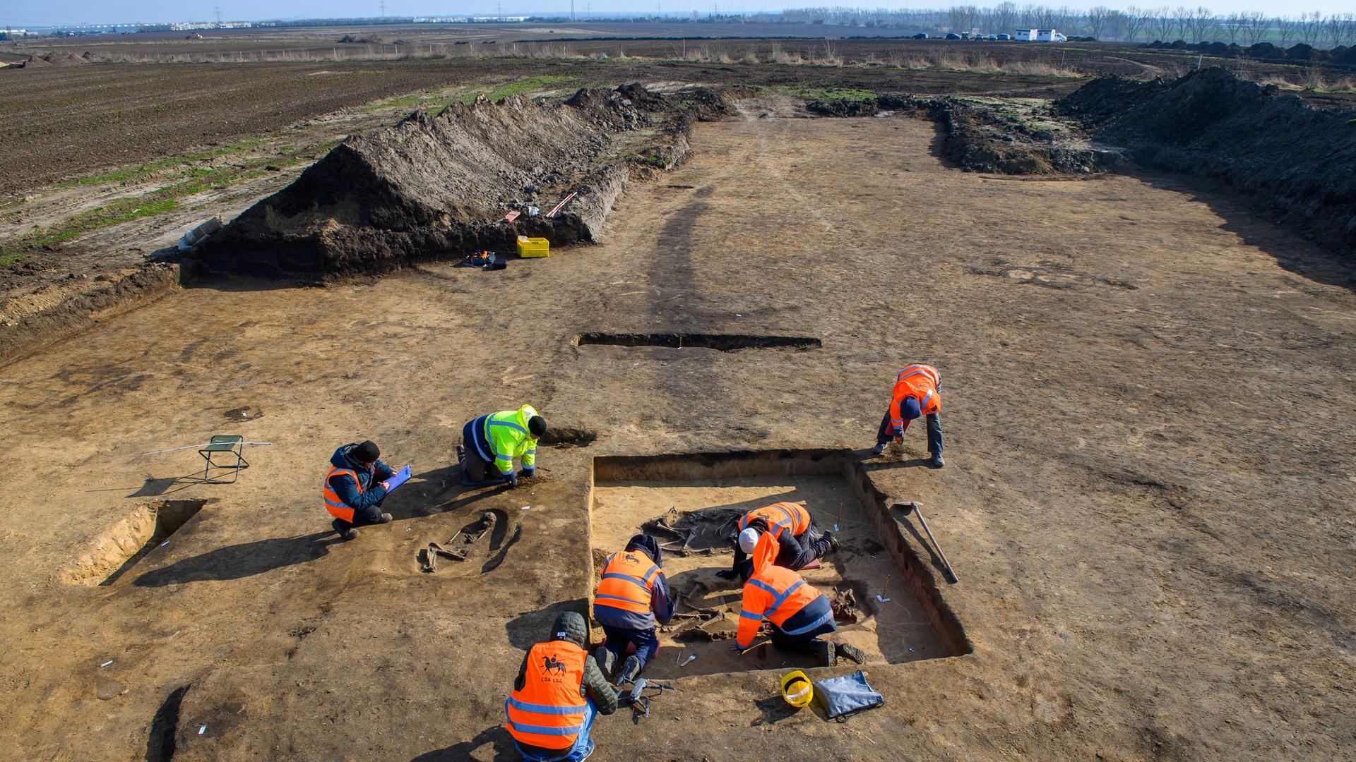Archäologen arbeiten auf dem Eulenberg an rund 5000 Jahre alten Gräbern, die zur Kugelamphorenkultur gehören. Archäologen arbeiten auf dem Eulenberg an rund 5000 Jahre alten Gräbern, die zur Kugelamphorenkultur gehören.