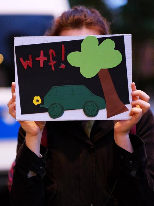 Eine junge Frau hält ein Schild hoch, dass ein Auto und einen Baum zeigen, die aus Pappe ausgeschnitten sind. Darüber stehen die Buchstaben "WTF", was für "What the Fuck" steht. Gemeint ist die Rodung des Danneröder Waldes für den Bau der Autobahn A 49. 
