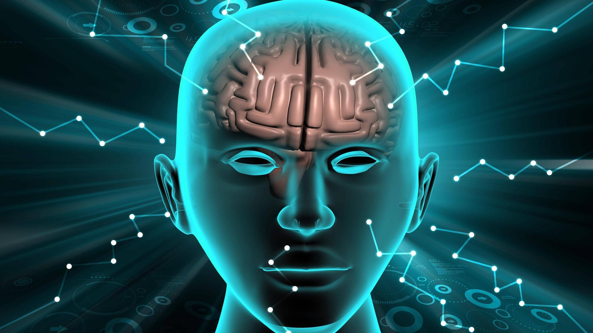 Schematische Darstellung eines menschlichen Schädels mit eingezeichnetem Gehirn vor blaugrünem Hintergrund