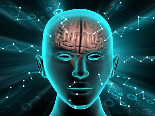 Schematische Darstellung eines menschlichen Schädels mit eingezeichnetem Gehirn vor blaugrünem Hintergrund