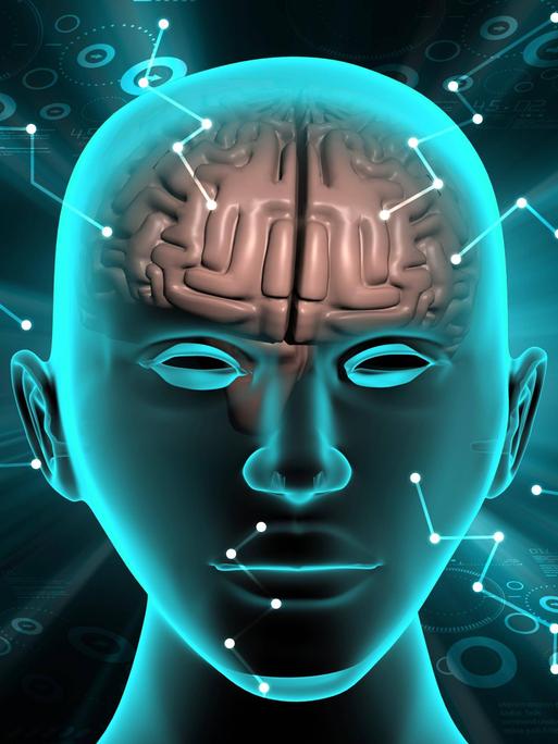 Schematische Darstellung eines menschlichen Schädels mit eingezeichnetem Gehirn vor blaugrünem Hintergrund