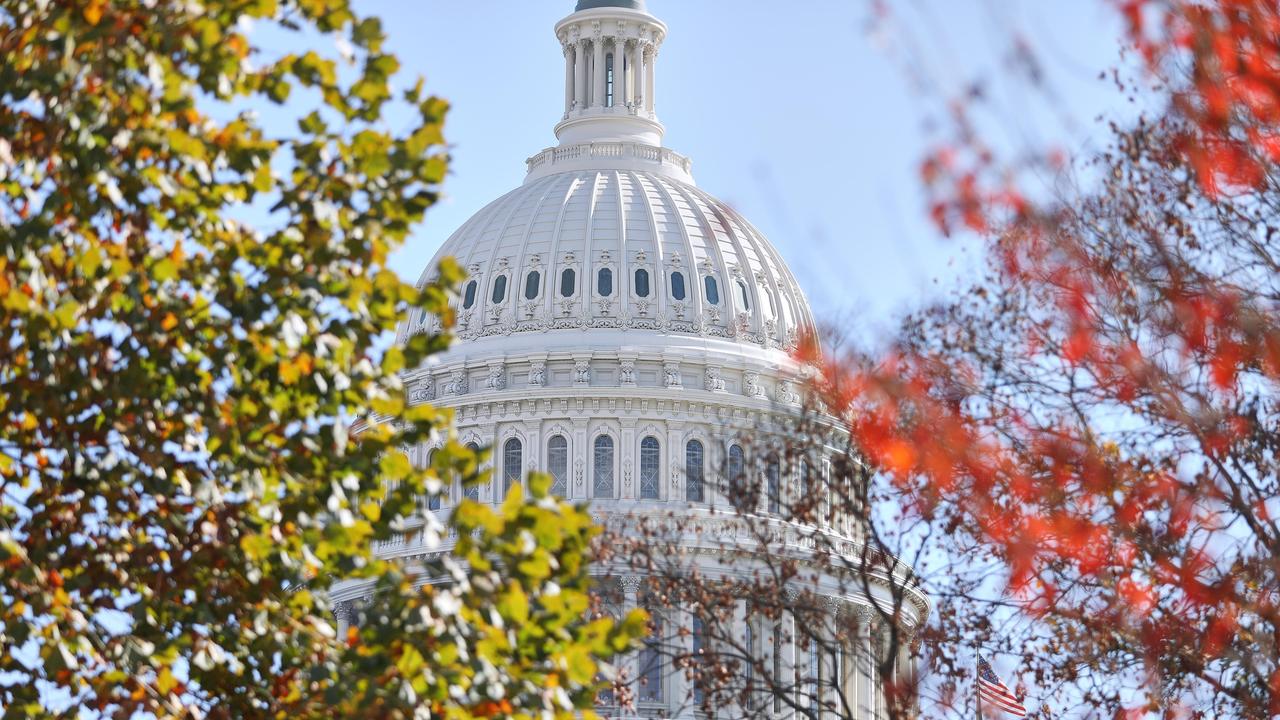 Die Kuppel des US-Kapitol, Sitz von Repräsentantenhaus und Senat, in Washington, D.C., ist durch die Blätter von Bäumen zu sehen