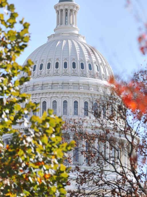 Die Kuppel des US-Kapitol, Sitz von Repräsentantenhaus und Senat, in Washington, D.C., ist durch die Blätter von Bäumen zu sehen