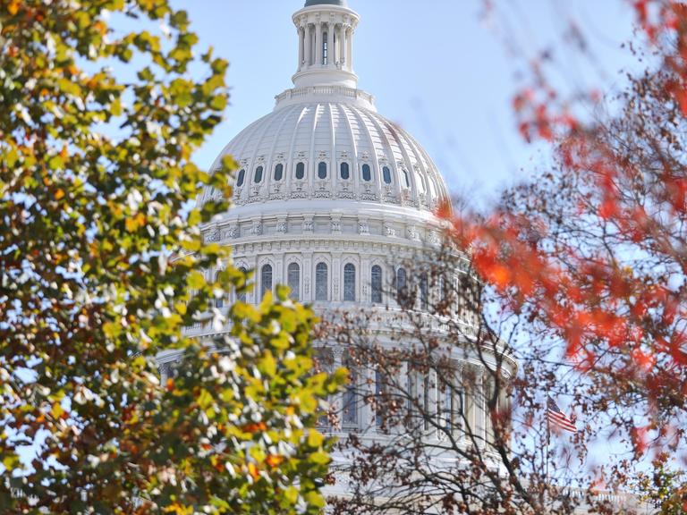 Die Kuppel des US-Kapitol, Sitz von Repräsentantenhaus und Senat, in Washington, D.C., ist durch die Blätter von Bäumen zu sehen