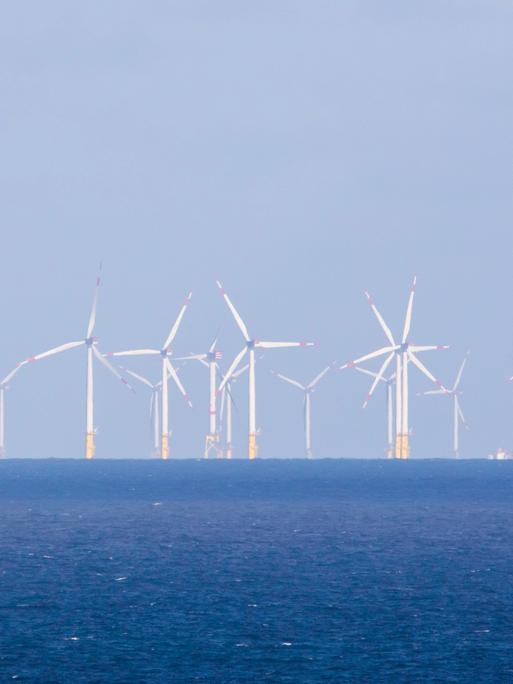 Ein Windpark bei Helgoland, die Windräder stehen im Meer