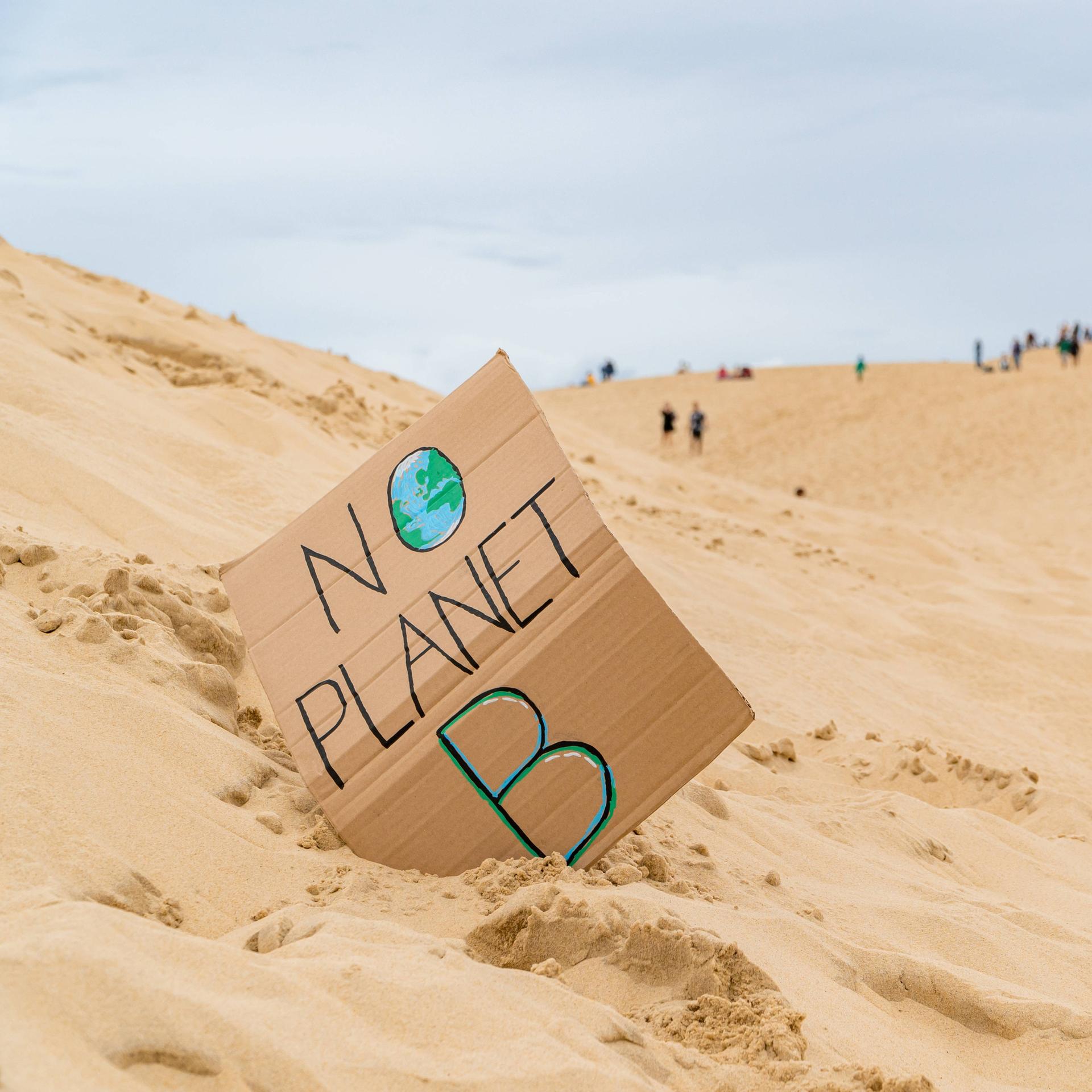 Gesellschaft - Warum die Klimawende gescheitert ist