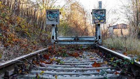 Zugewachsene Eisenbahnschienen Gleisanlagen