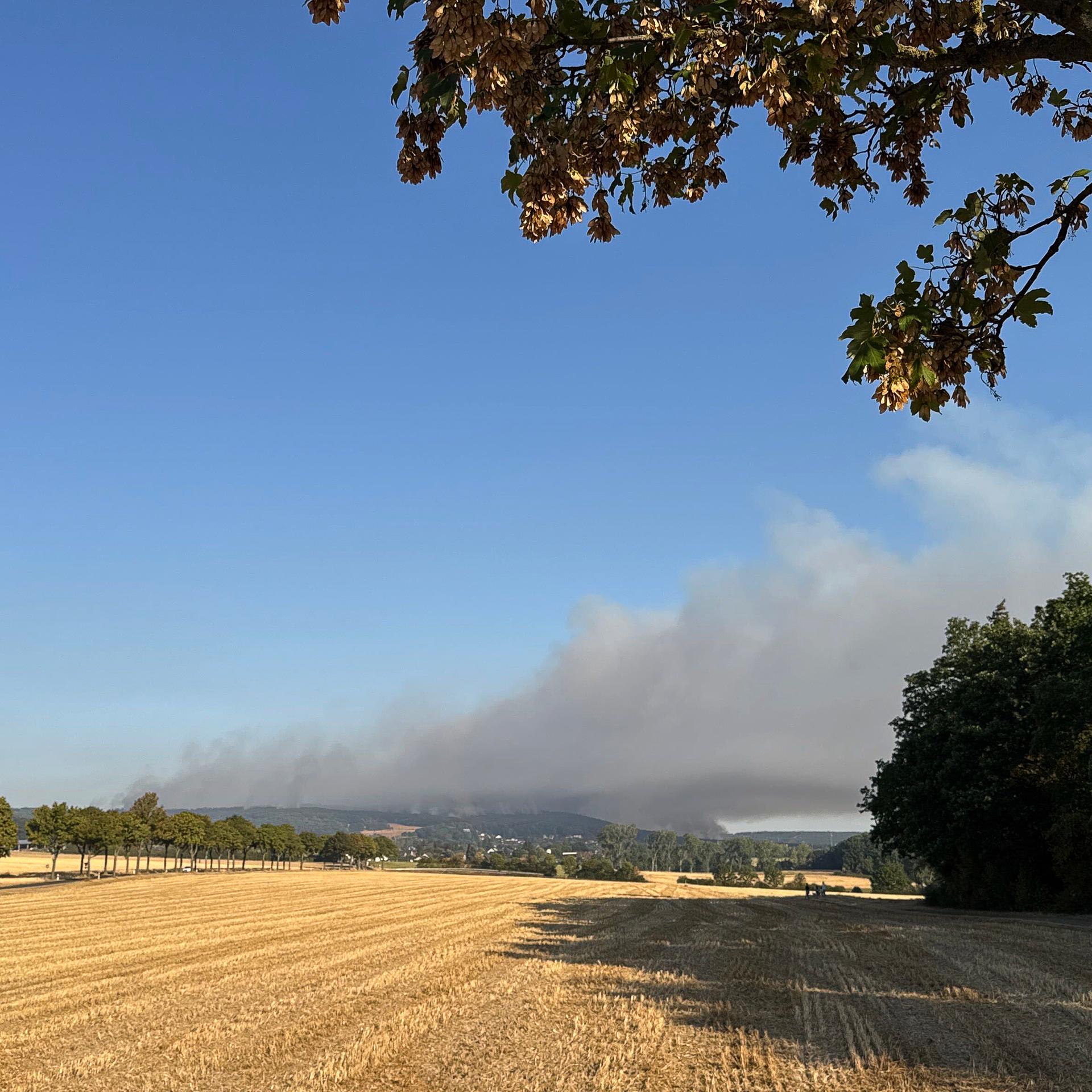 Rauch steigt bei einem Waldbrand über dem Hürtgenwald auf. Am frühen Morgen hat die Evakuierung des Ortsteils Gey begonnen, in dem gut 1.800 Menschen leben.