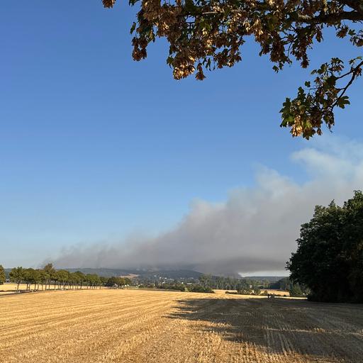 Rauch steigt bei einem Waldbrand über dem Hürtgenwald auf. 