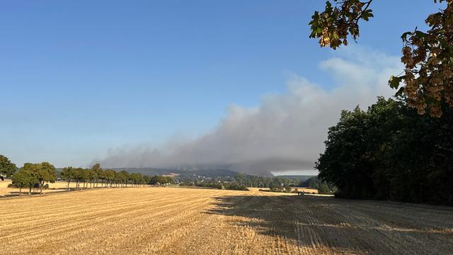 Rauch steigt bei einem Waldbrand über dem Hürtgenwald auf. 