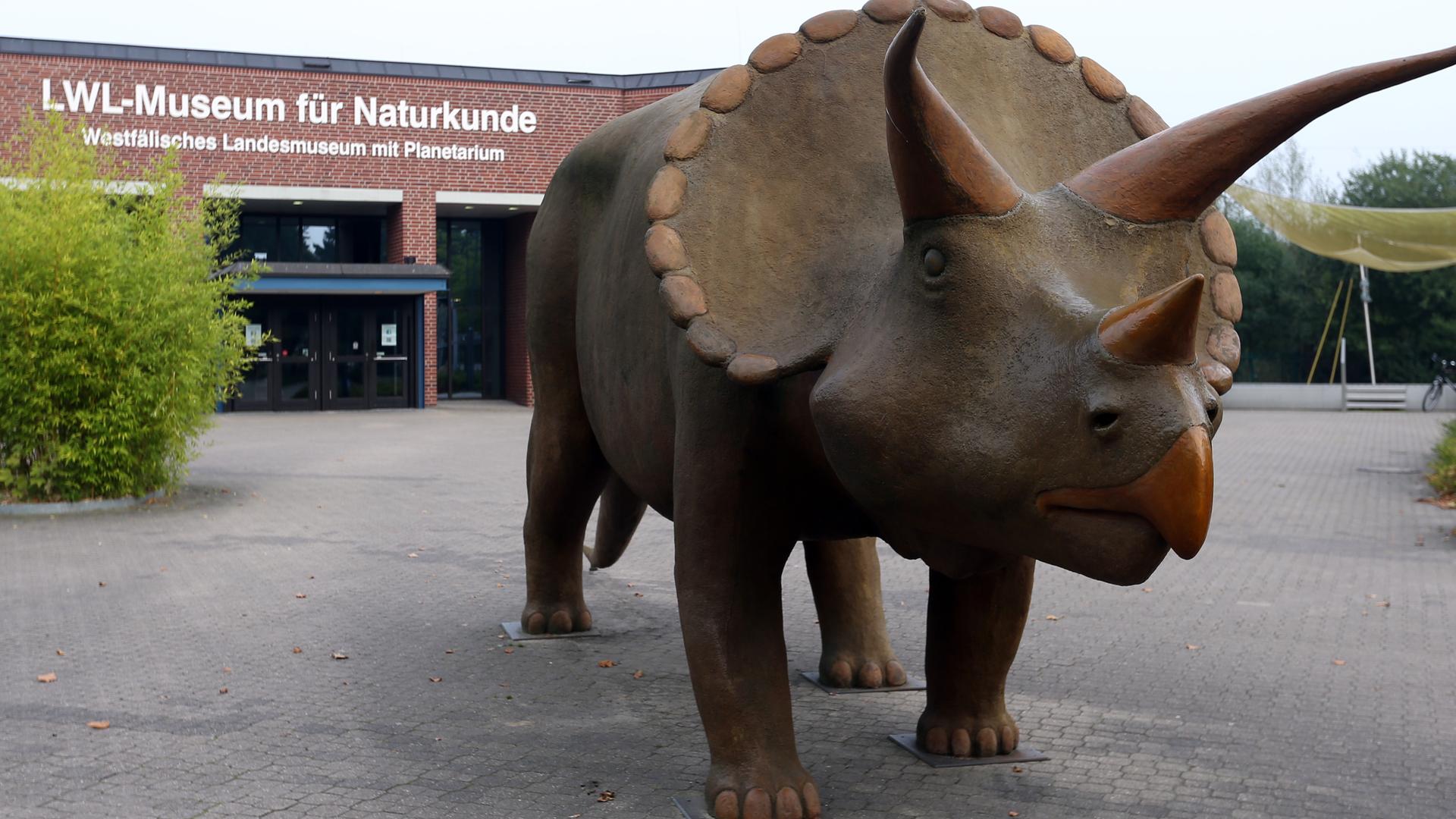 Dinosaurier-Skulptur vor dem LWL-Museum für Naturkunde in Münster. Dinosaurier-Skulptur vor dem LWL-Museum für Naturkunde in Münster.