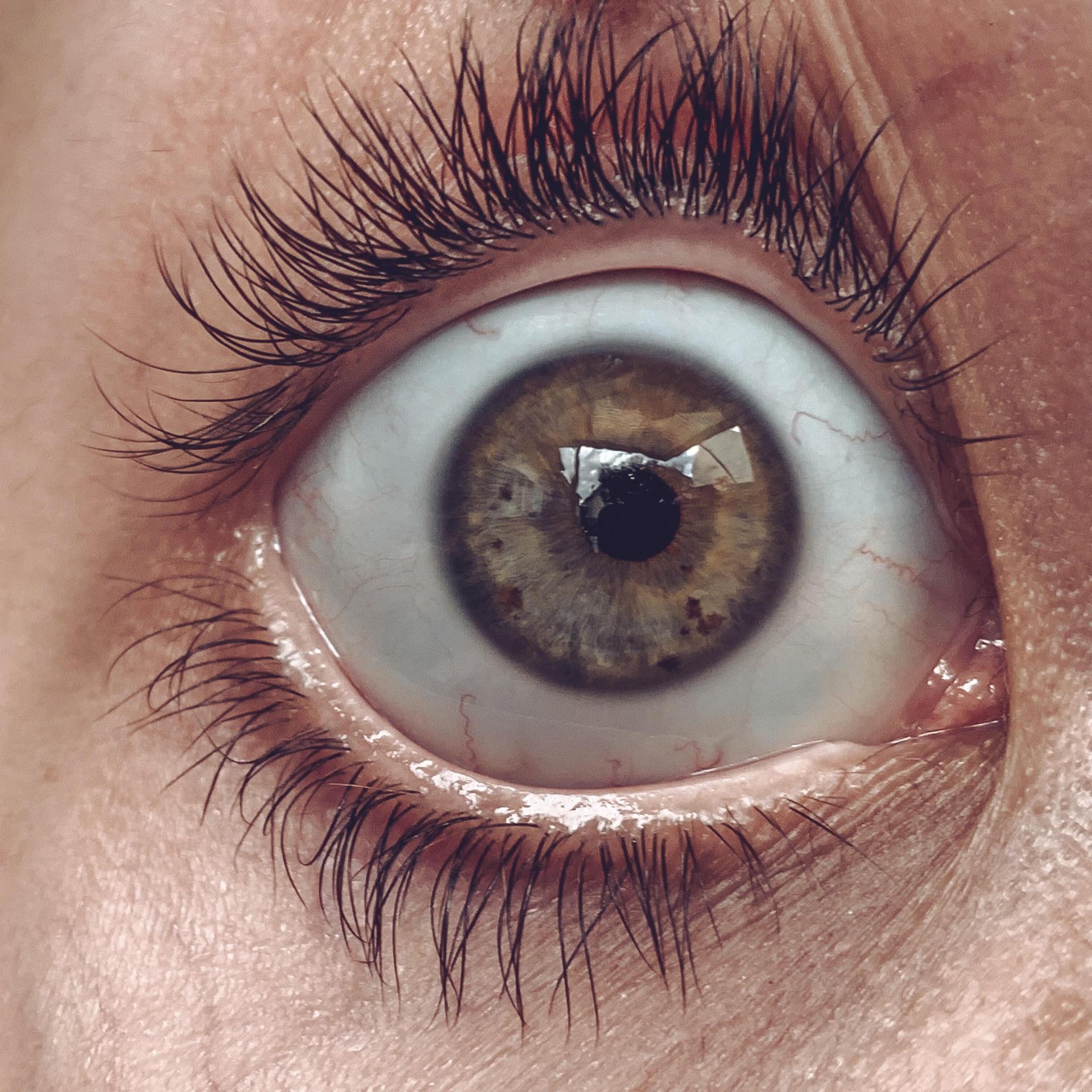 KI - Wenn Chatbots medizinischen Nonsens verbreiten