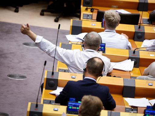 Ein Mitglied des EU-Parlaments reckt bei einer Abstimmung seinen Daumen in die Höhe.