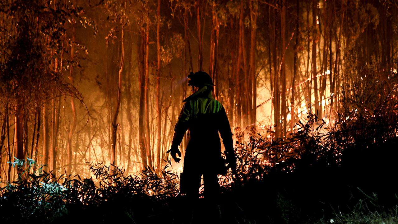 Die Folgen werden sichtbarer: Waldbrände in Chile