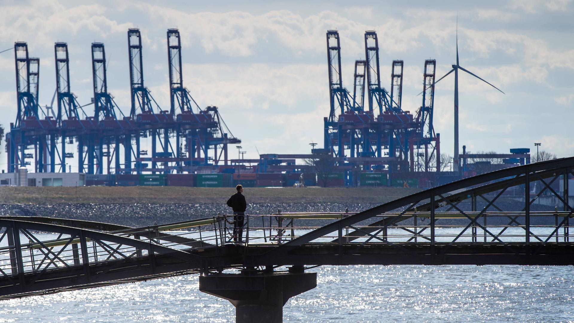 Blick auf den Hamburger Hafen, im Vordergrund steht eine Person auf einer Brücke, die zum Hafen schaut