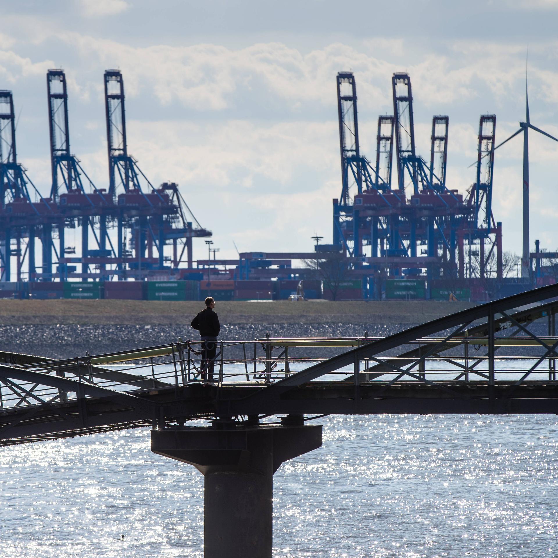 Blick auf den Hamburger Hafen, im Vordergrund steht eine Person auf einer Brücke, die zum Hafen schaut