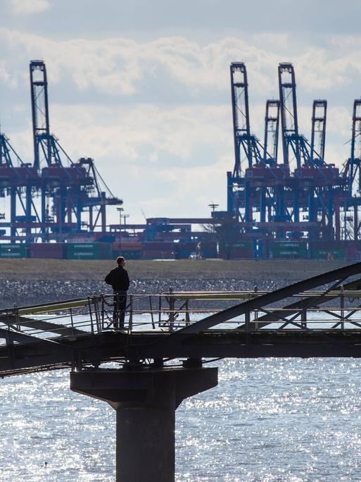Blick auf den Hamburger Hafen, im Vordergrund steht eine Person auf einer Brücke, die zum Hafen schaut