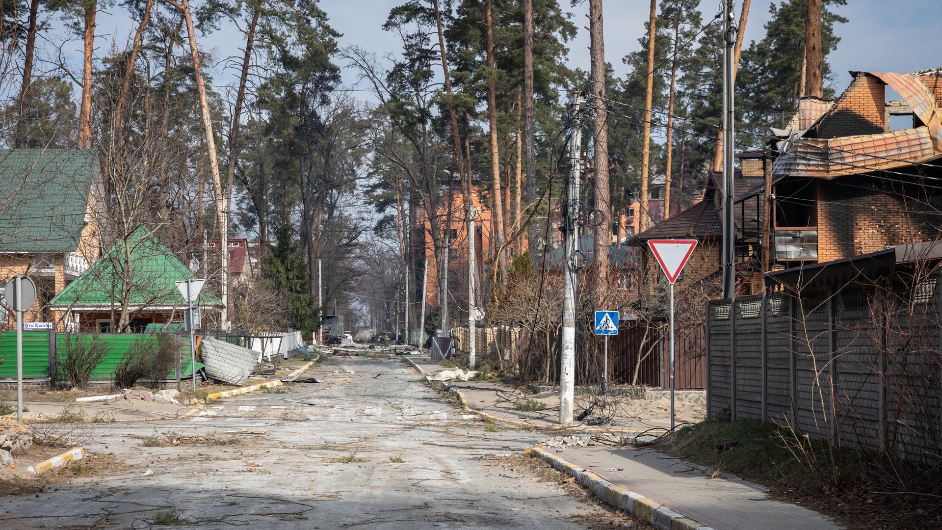 forest road on the outskirts of the city, roads, trees, houses, e forest road on the outskirts of the city, roads, trees, houses, e