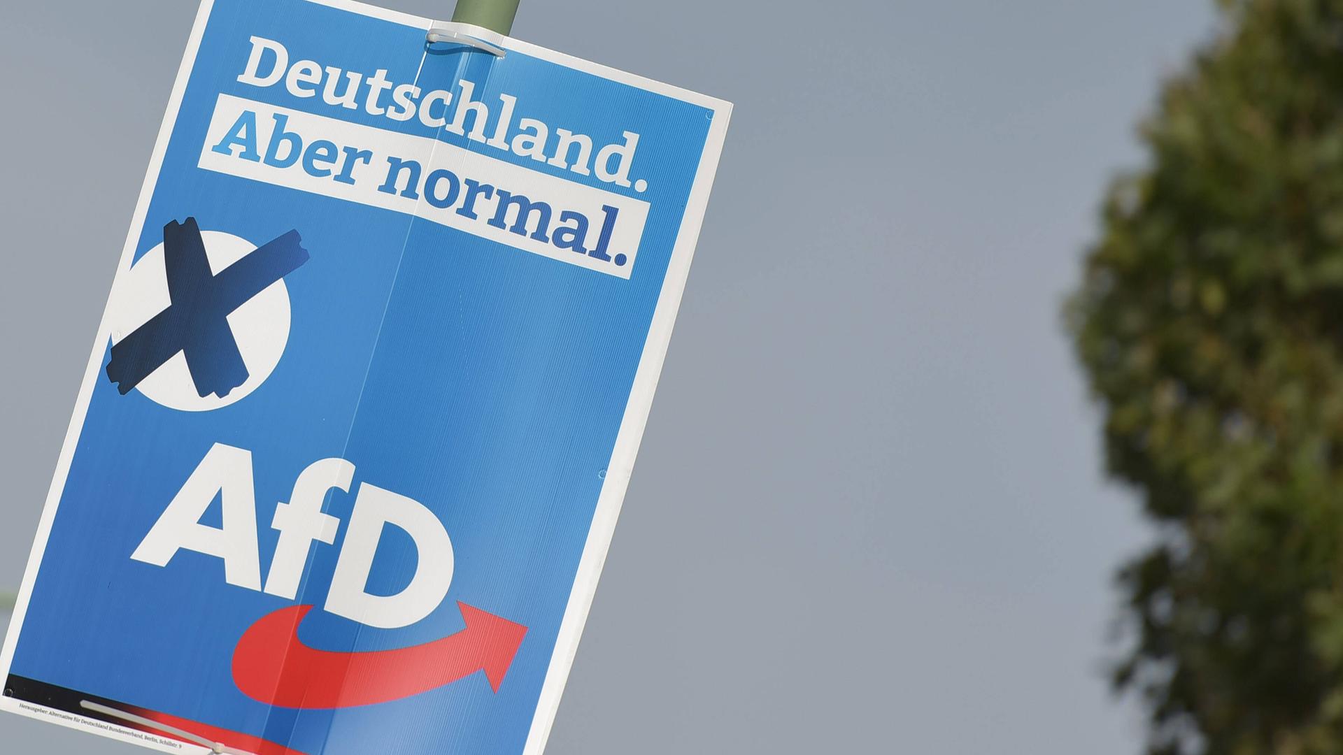 Wahlplakat der AfD zur Bundestagswahl 2021 