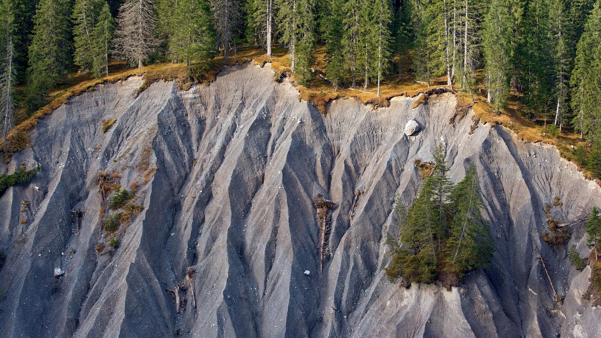 Abgerutschter Hang in den Alpen. An der Kante stehen Nadelbäume, darunter ist nur schwarze Erde zu sehen.