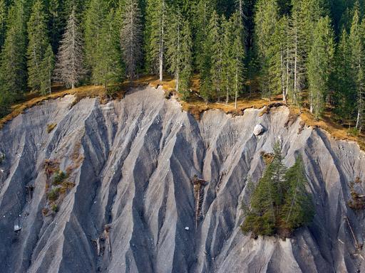 Abgerutschter Hang in den Alpen. An der Kante stehen Nadelbäume, darunter ist nur schwarze Erde zu sehen.