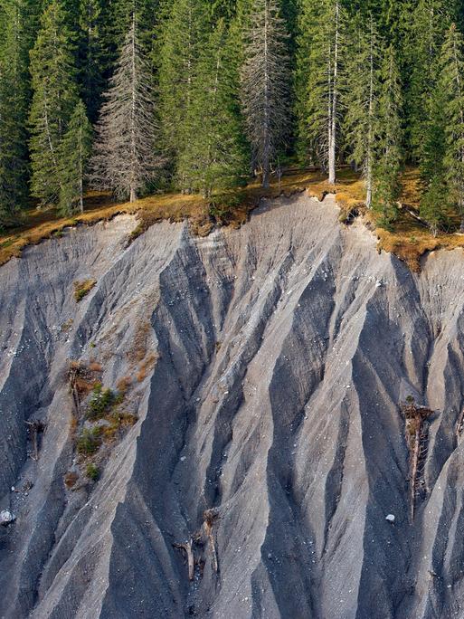 Abgerutschter Hang in den Alpen. An der Kante stehen Nadelbäume, darunter ist nur schwarze Erde zu sehen.