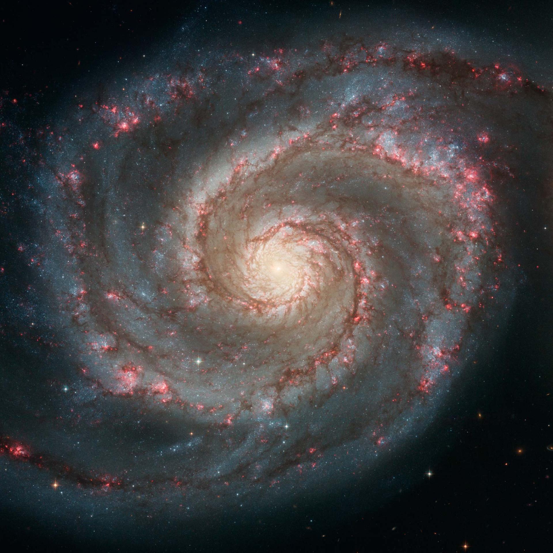 Galaxien (hier M 51) bestehen aus leuchtenden Sternen und Gasmassen, aber sie enthalten vor allem viel Dunkle Materie – eine unsichtbare Supermacht im All. 