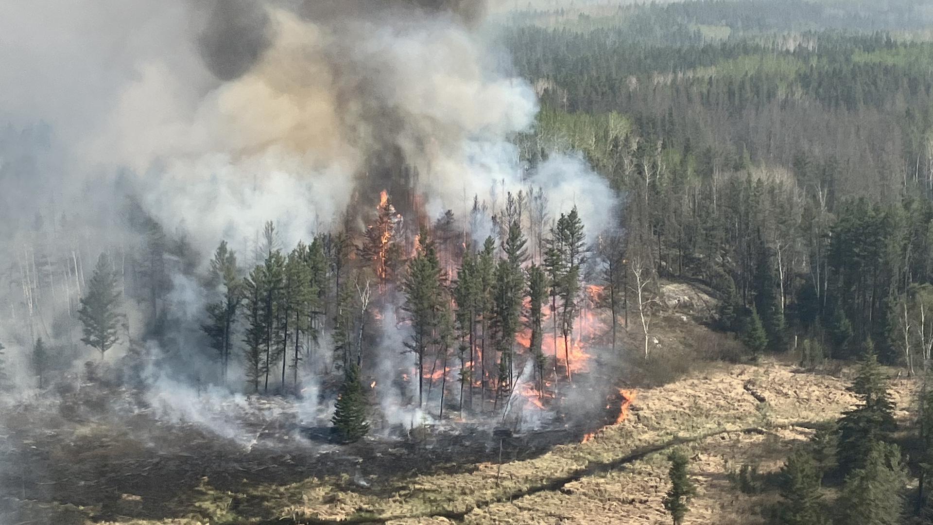 Das Foto zeigt einen brennenden Wald in der kanadischen Provinz Manitoba. Man sieht Flammen und dunkle Rauchwolken über dem Wald.