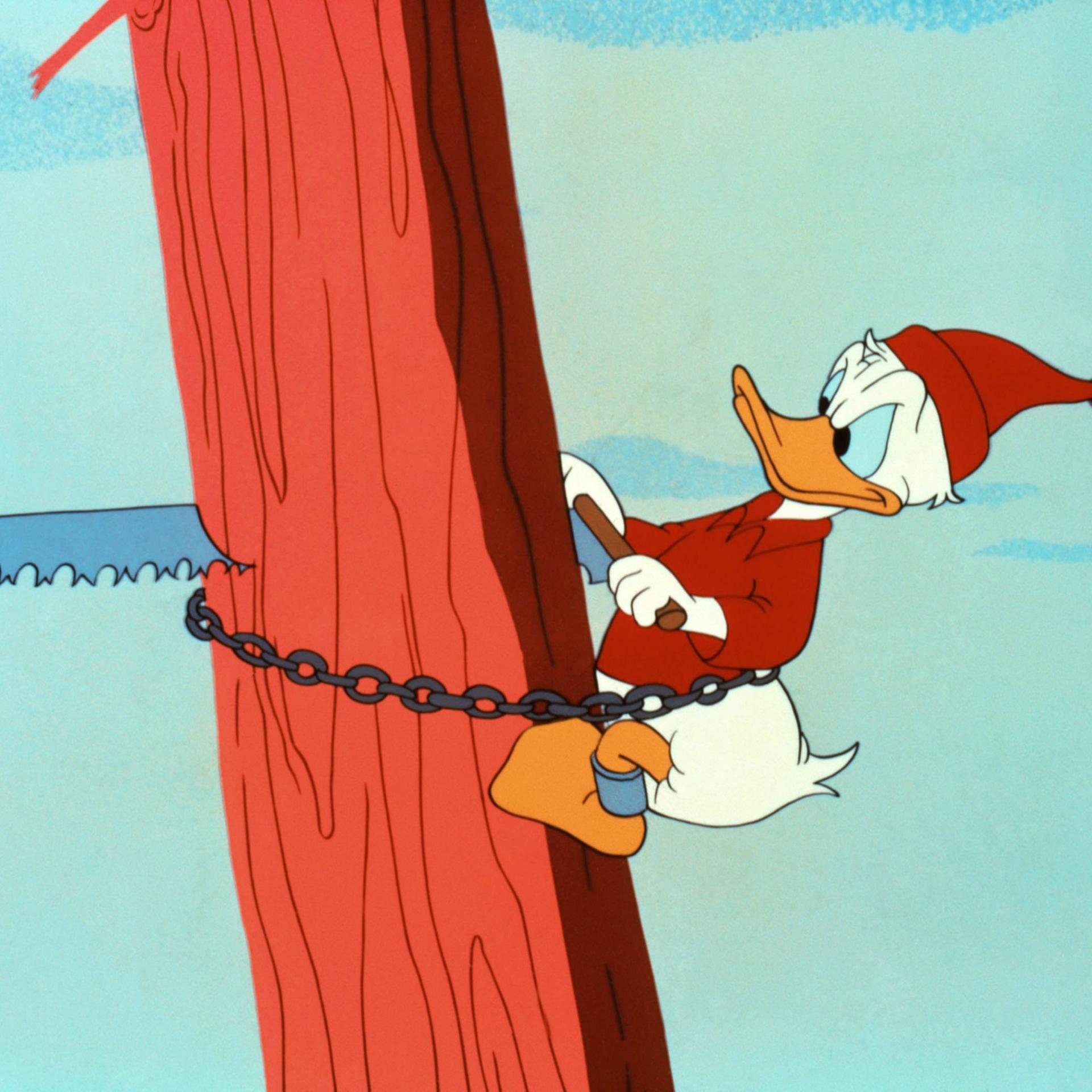 Donald Duck zum 90. - Der Held, dem alles misslingt