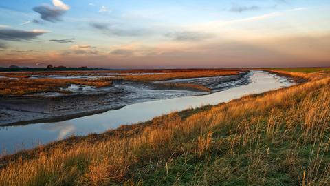 Das Naturschutzgebiet Langwarder Groden in Niedersachsen