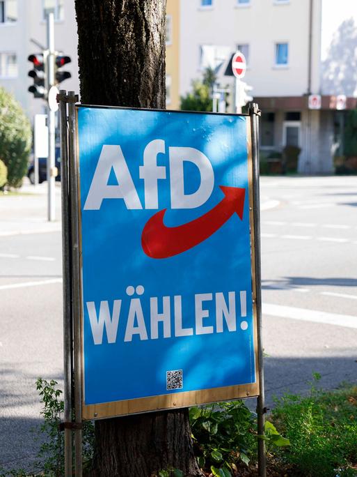 Ein Wahlplakat der rechtspopulistischen AfD steht an einer Laterne, es trägt die Aufschrift "AfD wählen". 