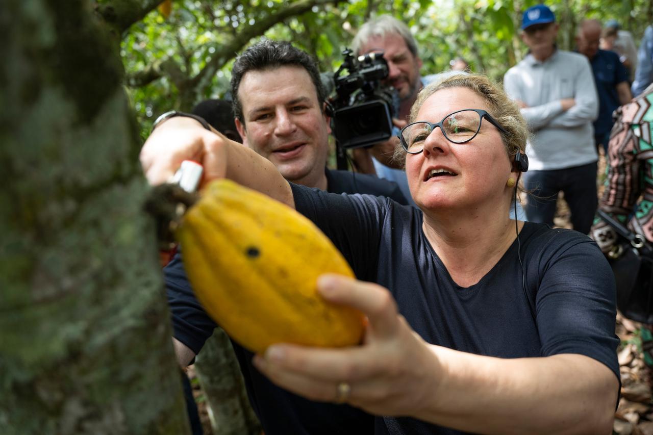 Medienwirksam: Svenja Schulze (SPD), Bundesministerin für wirtschaftliche Zusammenarbeit und Entwicklung, erntet auf einer Kakaoplantage der Elfenbeinküste eine reife Kakao Schote. Hinter ihr steht Hubertus Heil (SPD), Bundesminister für Arbeit und Soziales.