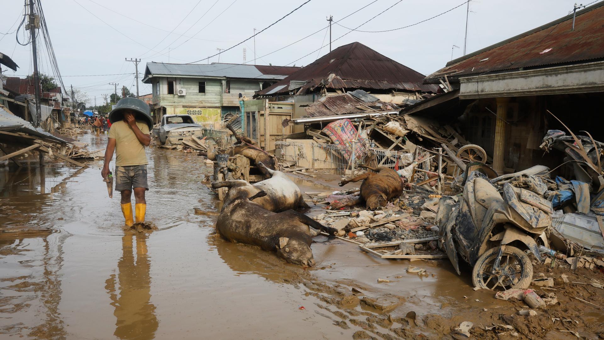 Ein Überlebender hält sich die Nase zu, als er an toten Tieren in einem von Überschwemmungen betroffenen Gebiet in Aceh Tamiang auf der Insel Sumatra vorbeigeht.