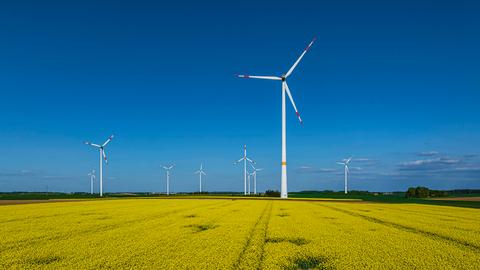 Hinter einem blühenden Rapsfeld stehen Windräder am Horizont vor blauem Himmel.