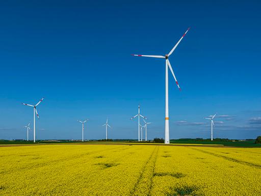 Hinter einem blühenden Rapsfeld stehen Windräder am Horizont vor blauem Himmel. Hinter einem blühenden Rapsfeld stehen Windräder am Horizont vor blauem Himmel.