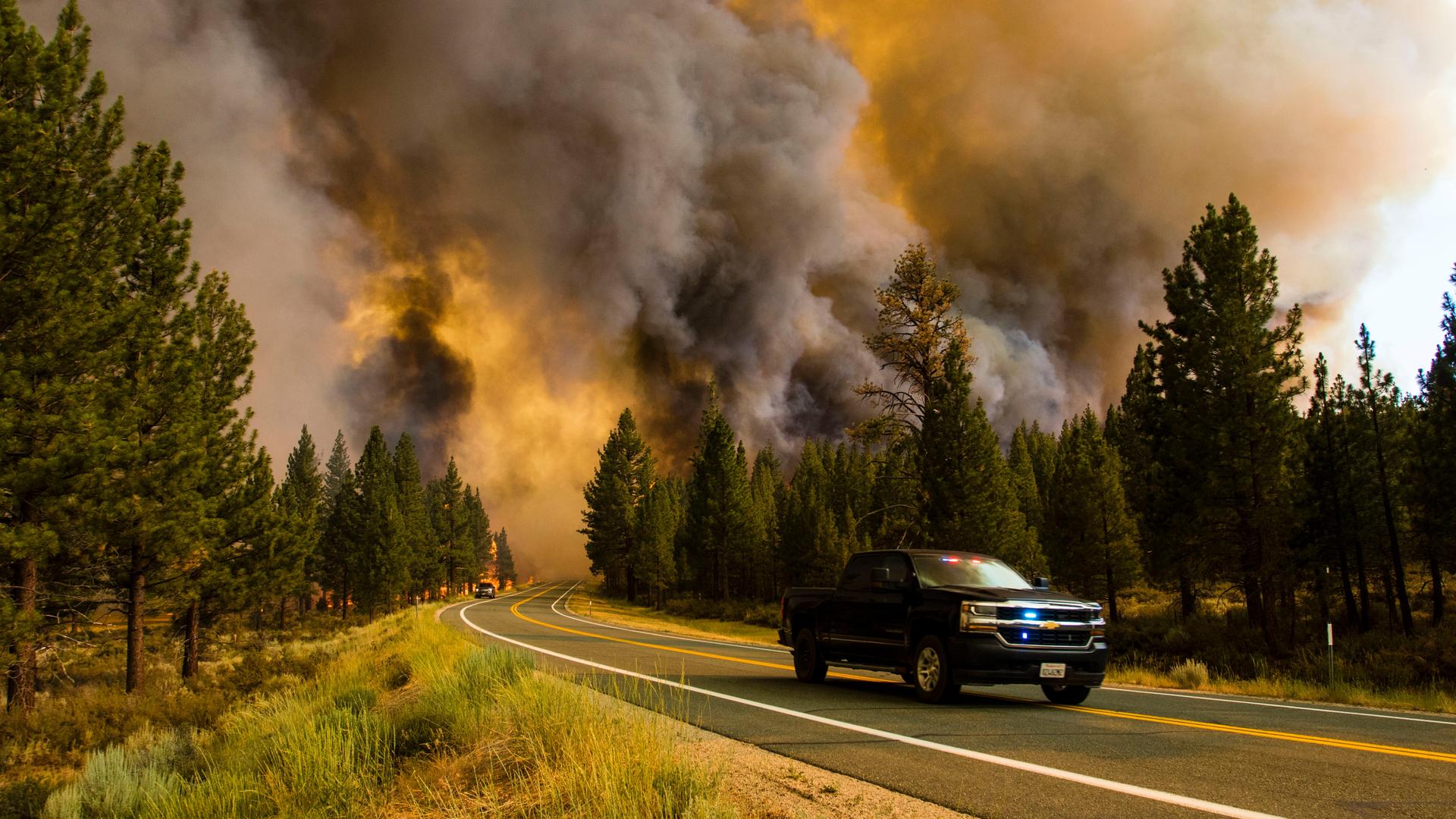 17. Juli 2021, Markleeville, Kalifornien, USA: Das Tamarack-Feuer brennt entlang der Straße.