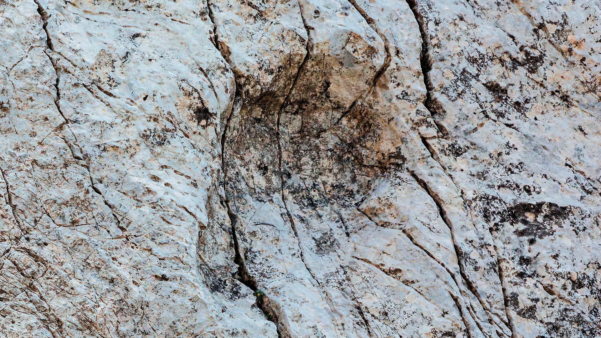 Dieses vom Stelvio National Park zur Verfügung gestellte Foto zeigt einen Fußabdruck eines Prosauropoden aus der späten Trias, der im Fraele-Tal in Norditalien entdeckt wurde. Dieses vom Stelvio National Park zur Verfügung gestellte Foto zeigt einen Fußabdruck eines Prosauropoden aus der späten Trias, der im Fraele-Tal in Norditalien entdeckt wurde.