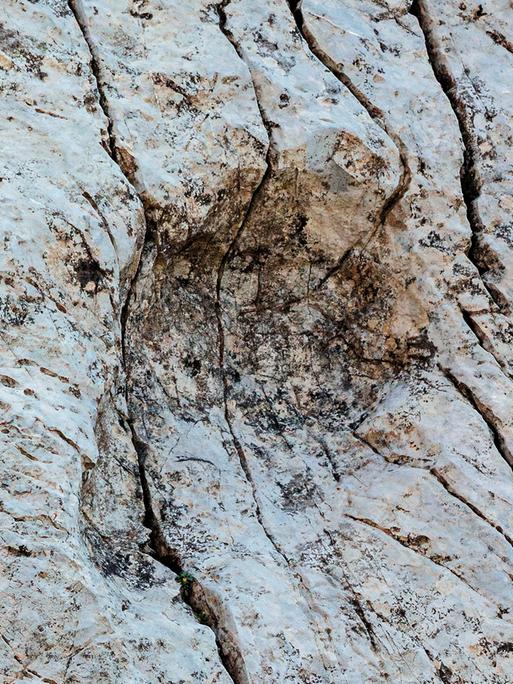 Dieses vom Stelvio National Park zur Verfügung gestellte Foto zeigt einen Fußabdruck eines Prosauropoden aus der späten Trias, der im Fraele-Tal in Norditalien entdeckt wurde. 