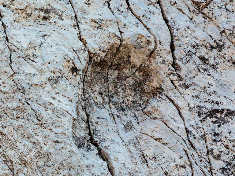 Dieses vom Stelvio National Park zur Verfügung gestellte Foto zeigt einen Fußabdruck eines Prosauropoden aus der späten Trias, der im Fraele-Tal in Norditalien entdeckt wurde. 