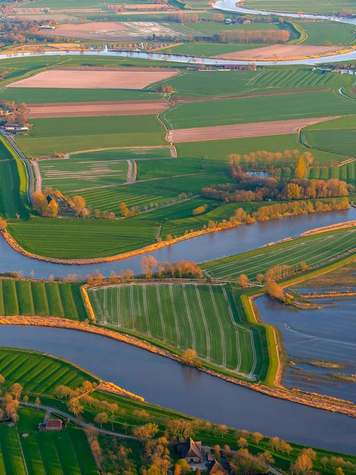 Luftbild der gewundenen Flusslandschaft an der Stör in Schleswig-Holstein 
