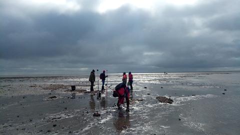 Ein Archäologenteam im Wattenmeer hat Stativstangen mit Magnet-Messköpfen aufgestellt